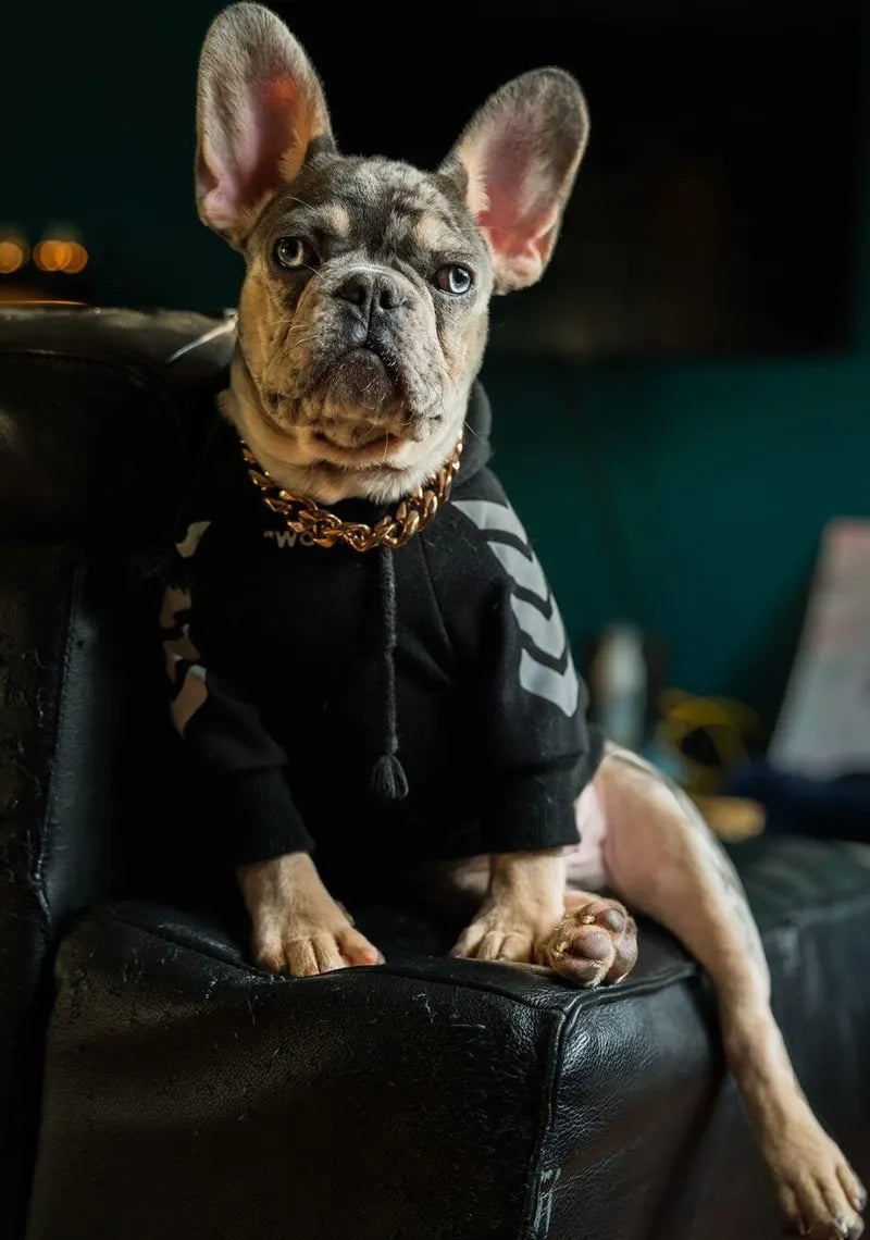 Winter Dog Hoodie with Hood – Warm, Stylish & Comfortable (“WOOF” Design)