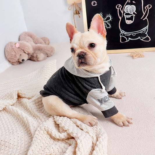 Cozy Grey Dog Hoodie – Warm, Soft & Stylish