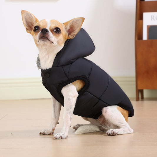 Warm Padded Dog Jacket with Hood