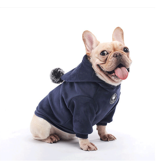 Super Soft Winter Coral Fleece Dog Sweater (Thick Warm Pullover)