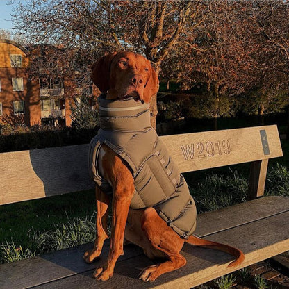 Thermal Dog Vest – Lightweight, Water-Resistant & Wind-Resistant Winter Coat