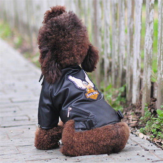 Stylish Dog Leather Jacket – Embroidered Eagle Warm & Durable