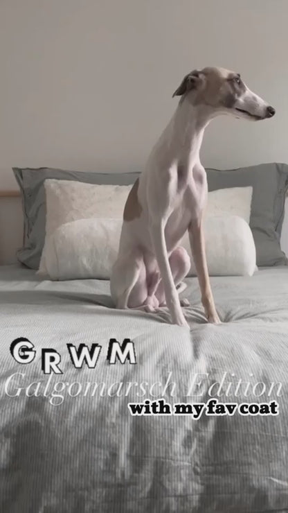 Thermal Dog Vest – Lightweight, Water-Resistant & Wind-Resistant Winter Coat